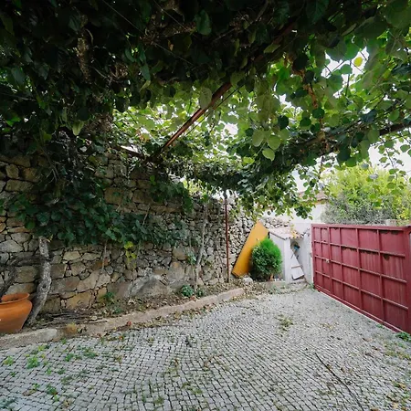 Martinho's House Alijó