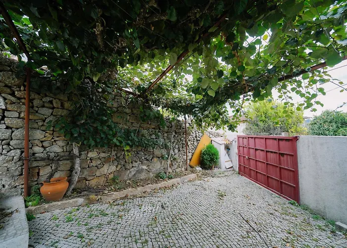 Martinho's House Alijó